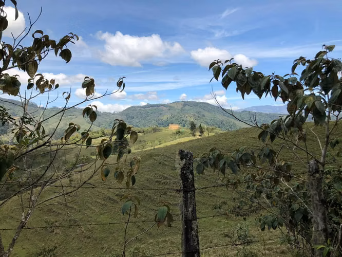 ALQUILER DE HERMOSA CABAÑA EN CARTAGO GUARCO AMOBLADA - Imagen 15