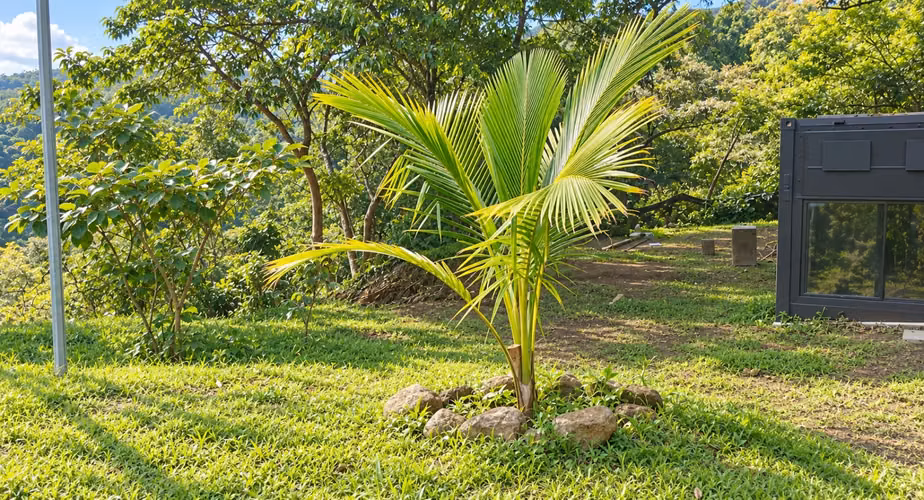 El Rodeo - Ciudad Colon  - Imagen 5