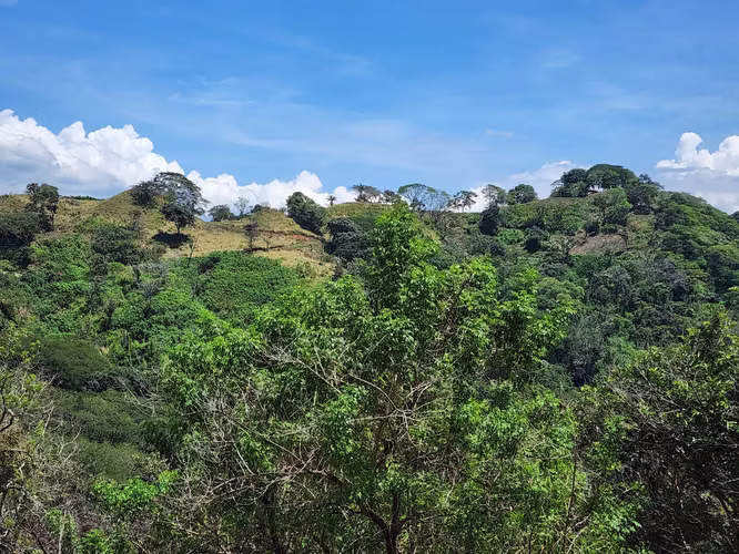 SE VENDE TERRENO EN ATENAS ESPECTACULAR VISTA - Imagen 18