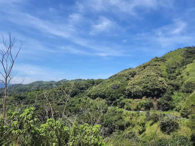 SE VENDE TERRENO EN ATENAS ESPECTACULAR VISTA - Imagen 15