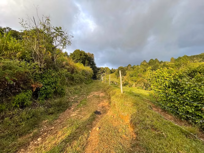 Venta de finca en Copey de Dota - Imagen 14
