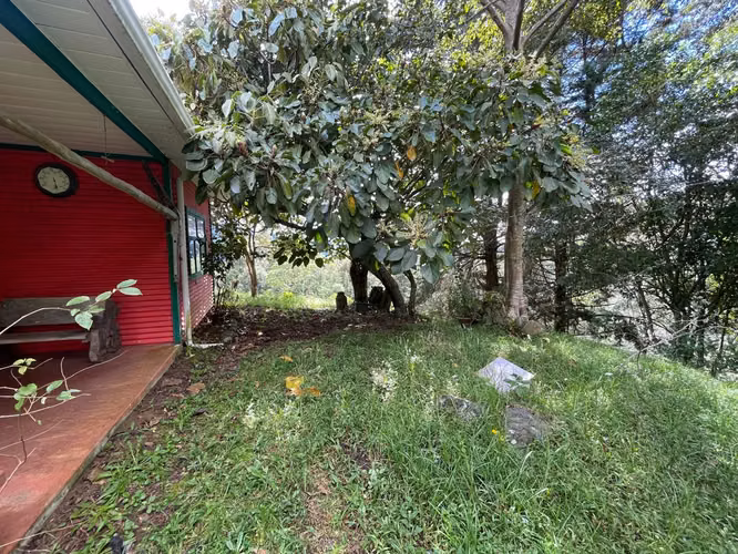 Venta de finca en Copey de Dota - Imagen 4