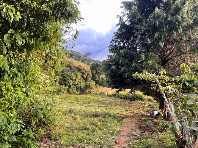 Venta de finca en Copey de Dota - Imagen 13