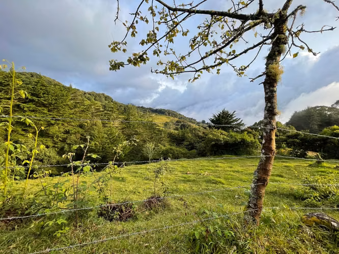 Venta de finca en Copey de Dota - Imagen 15