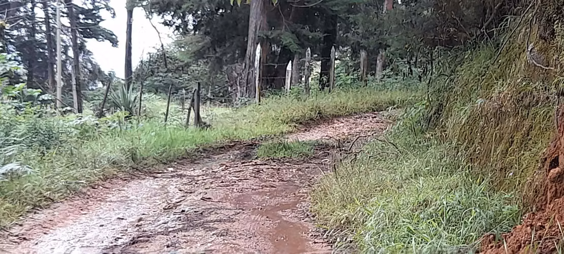 Venta de finca en Copey de Dota - Imagen 2