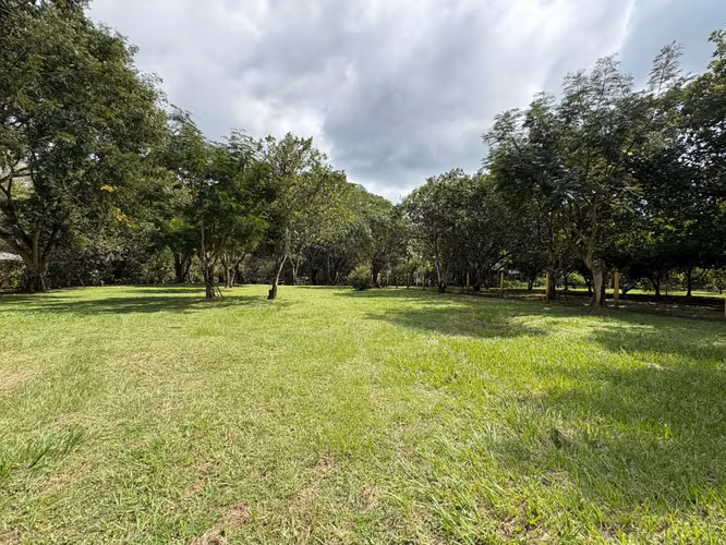 Lote en Venta en Orotina de Alto Potencial IP - Imagen 4
