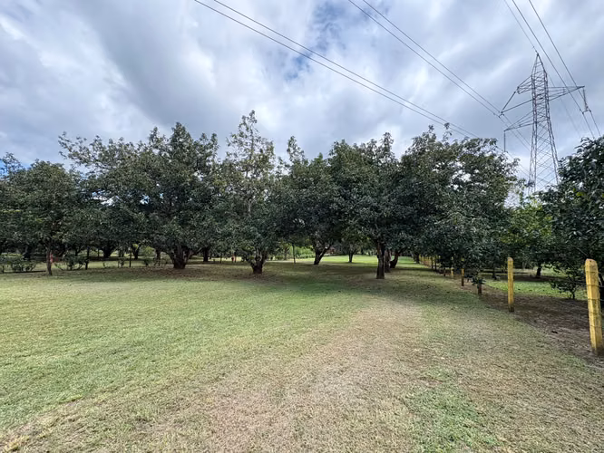 Lote en Venta en Orotina de Alto Potencial IP - Imagen 2