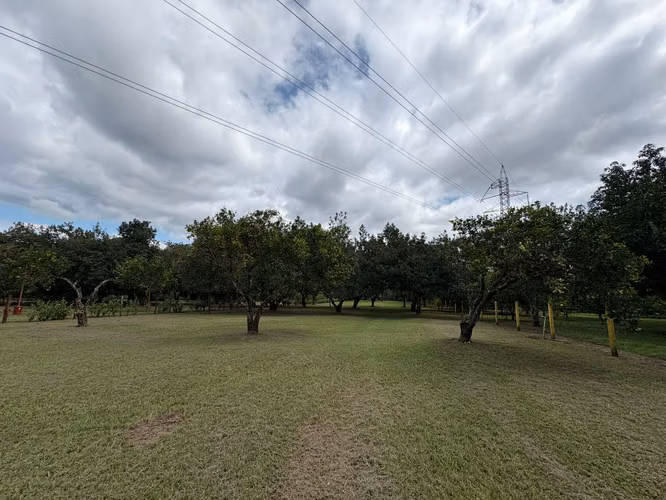 Lote en Venta en Orotina de Alto Potencial IP - Imagen 3