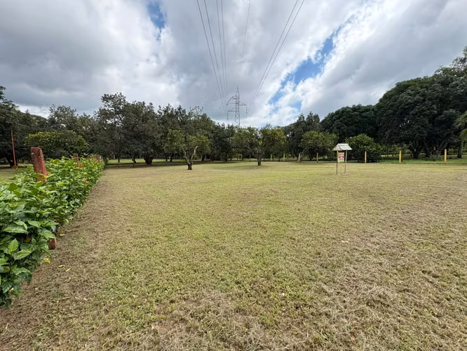 Lote en Venta en Orotina de Alto Potencial IP - Imagen 12