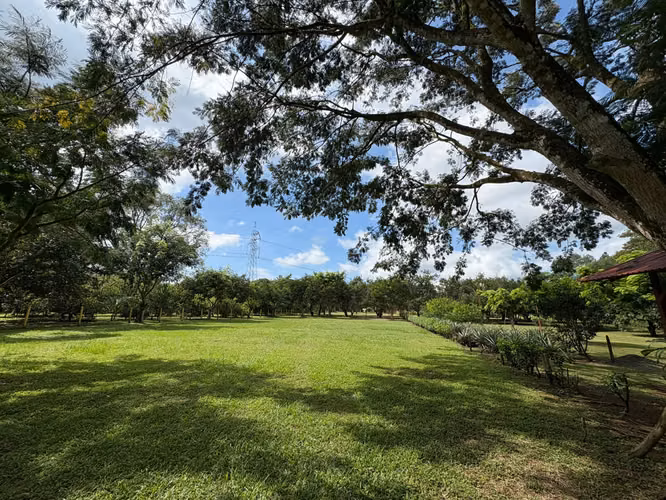 Lote en Venta en Orotina de Alto Potencial IP - Imagen 8