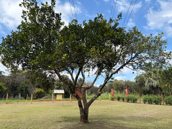 Lote en Venta en Orotina de Alto Potencial IP - Imagen 10