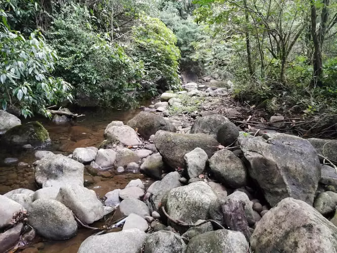 Venta de Quinta en Concepción San Rafael Heredia
