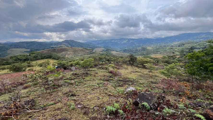 Venta Hermoso Lote Monteverde