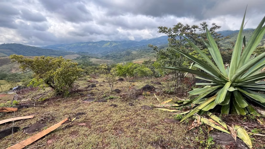 Venta Hermoso Lote Monteverde