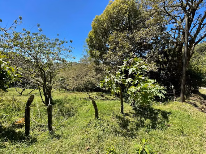 Venta Lote Monteverde - Imagen 14