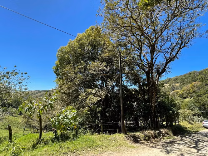 Venta Lote Monteverde - Imagen 9