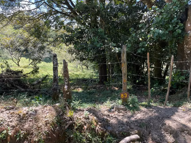 Venta Lote Monteverde - Imagen 11