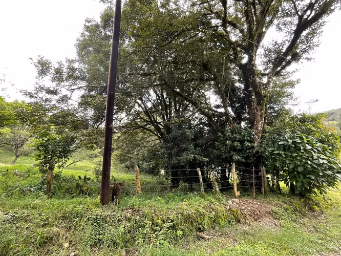 Venta Lote Monteverde - Imagen 6