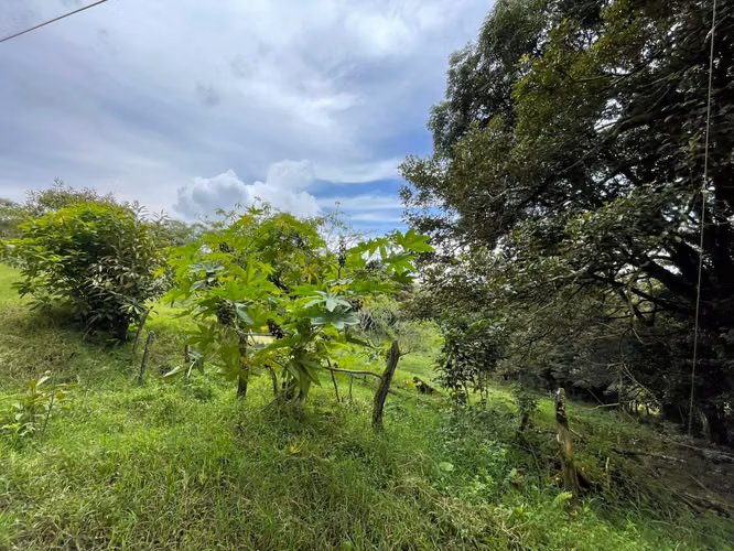Venta Lote Monteverde - Imagen 8