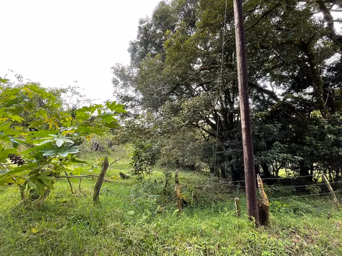 Venta Lote Monteverde - Imagen 5