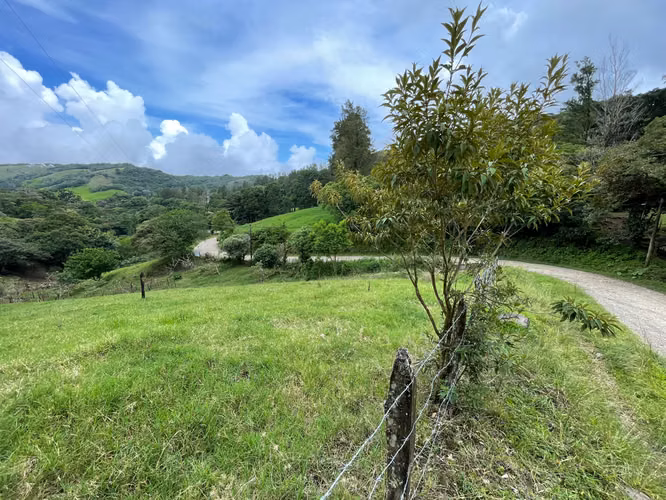 Venta Lote Monteverde - Imagen 2
