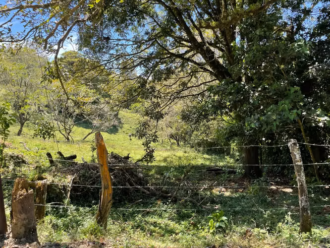 Venta Lote Monteverde - Imagen 10