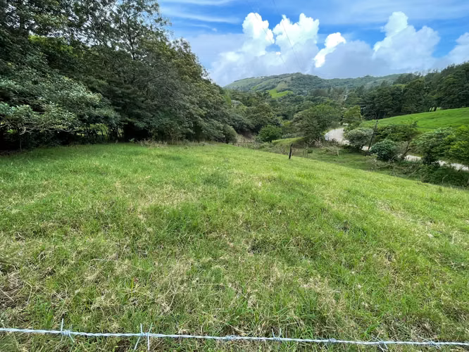 Venta Lote Monteverde - Imagen 4