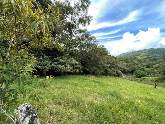 Venta Lote Monteverde - Imagen 3
