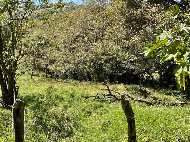 Venta Lote Monteverde - Imagen 13