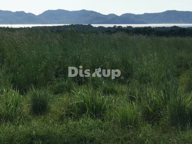 Oceanfront property for sale. 500 hectares. Guanacaste