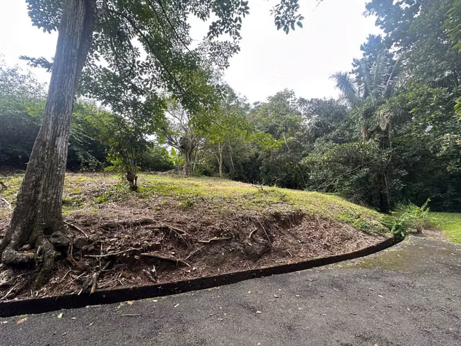 Oportunidad, Se Vende Lote en Residencial La Malloquina, Esparza - Imagen 5