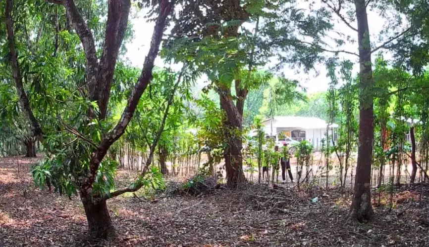 Venta lote en Orotina, Alajuela - Imagen 3