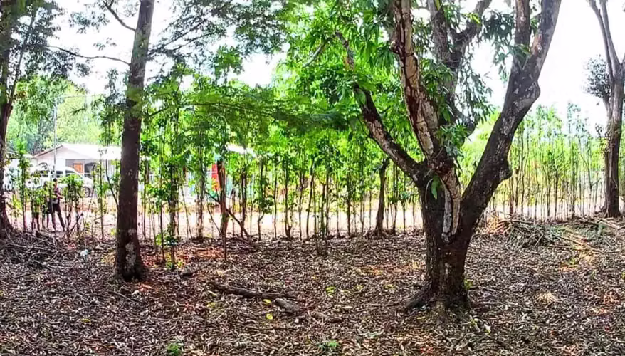 Venta lote en Orotina, Alajuela - Imagen 4