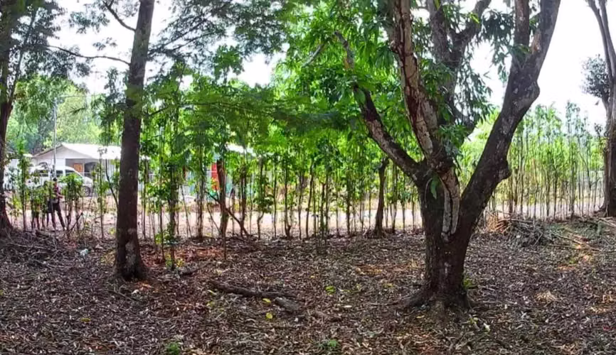 Venta lote en Orotina, Alajuela - Imagen 2