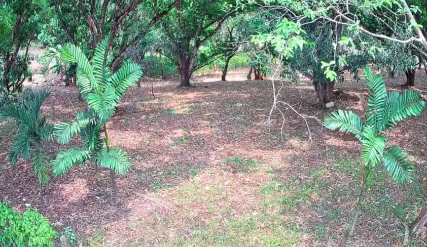 Venta lote en Orotina, Alajuela - Imagen 11