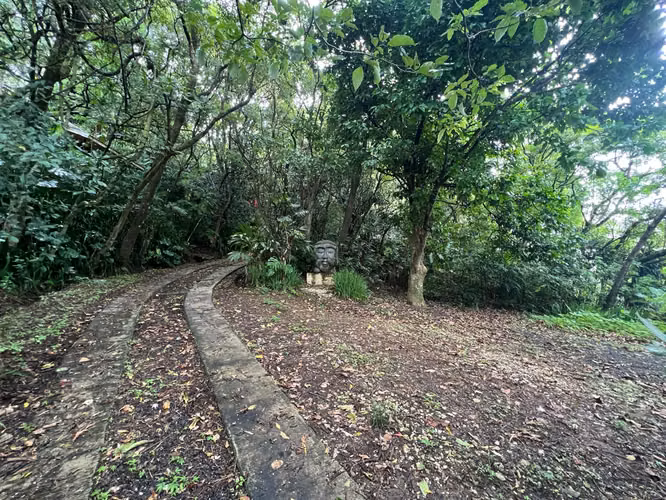 Propiedad de montaña, 1 ha, 2 construcciones, naturaleza y vistas