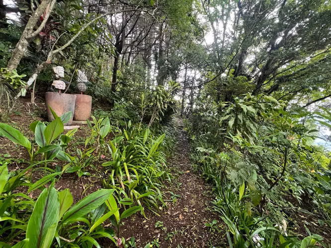 Propiedad de montaña, 1 ha, 2 construcciones, naturaleza y vistas