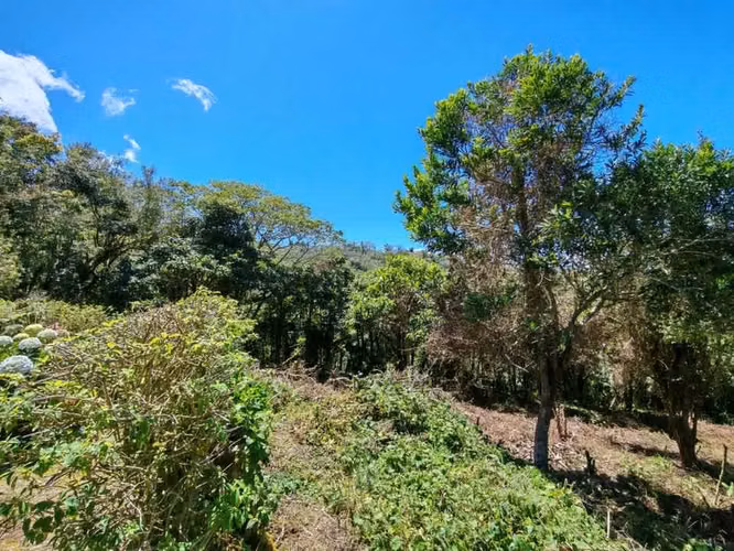 VENTA TERRENO RESIDENCIAL Y COMERCIAL VARA BLANCA HEREDIA.