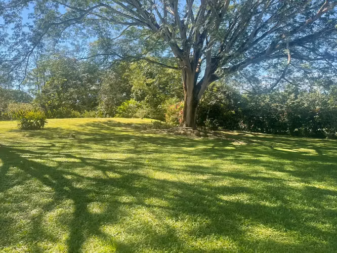 Paraíso escondido en Orotina: 4,919 m² para la vida que soñás - Imagen 5