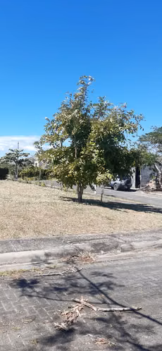 Venta de Lote en Condominio Tayacán Liberia Guanacaste 492 m² - Imagen 8