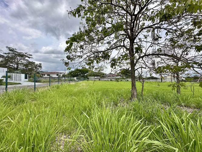 VENTA DE LOTE CON TOPOGRAFIA PLANA EN RIO ORO, LA CARAÑA, SANTA ANA - Imagen 4
