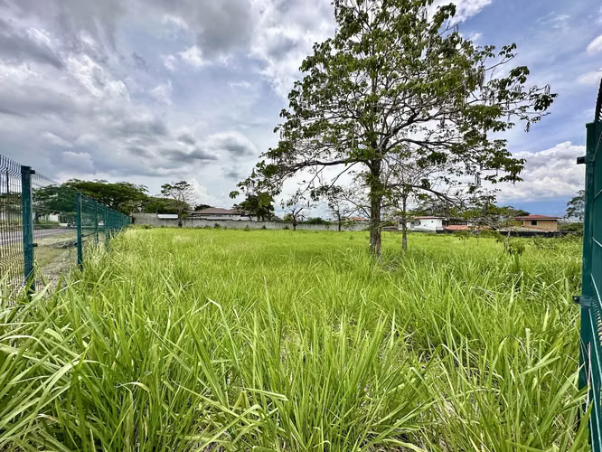 VENTA DE LOTE CON TOPOGRAFIA PLANA EN RIO ORO, LA CARAÑA, SANTA ANA - Imagen 5