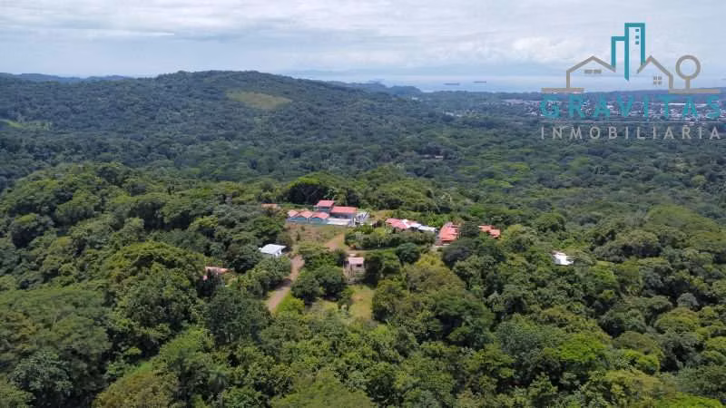 Venta de lote en Esparza | 2412 m2 | Con cabaña | F 456 - Imagen 3
