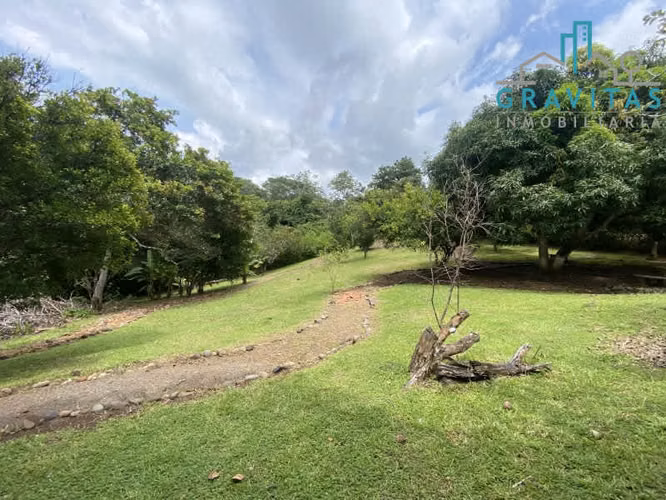 Venta de lote en Esparza | 2412 m2 | Con cabaña | F 456 - Imagen 11