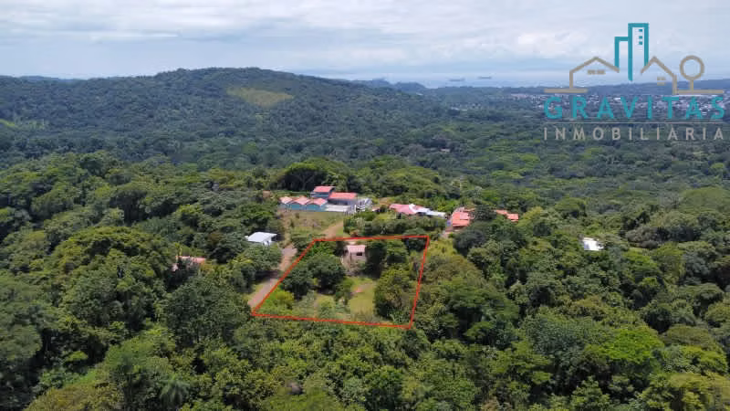 Venta de lote en Esparza | 2412 m2 | Con cabaña | F 456 - Imagen 2