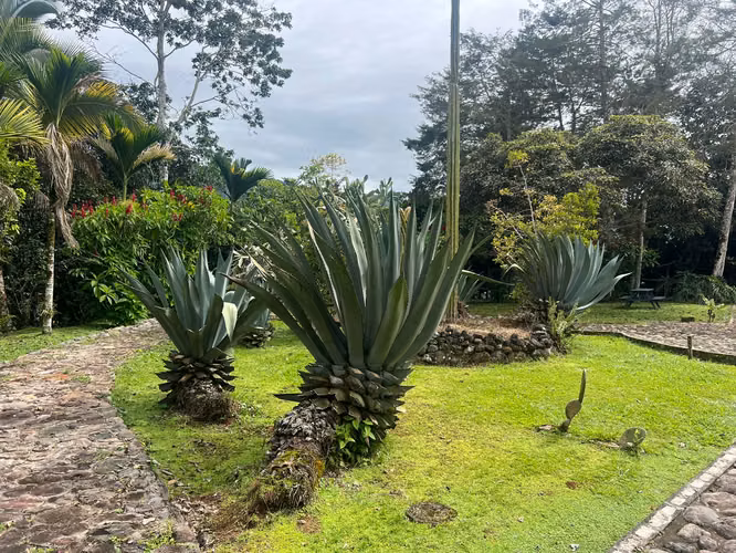 Oportunidad para desarrollo, descanzo, retiro, Club, Turistico MM