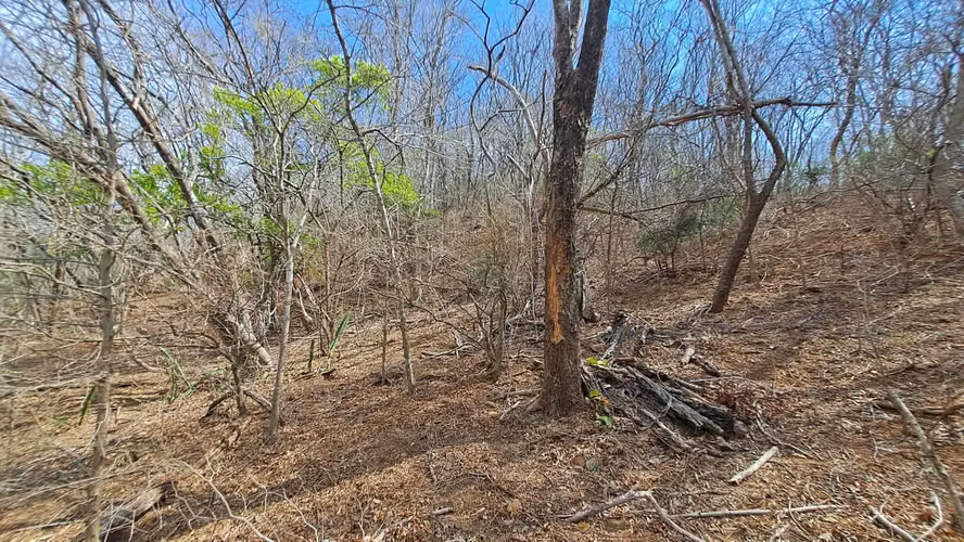 LOTE EN VENTA 1500 m2. RECTANGULAR. CERCA DE PLAYA. - Imagen 3