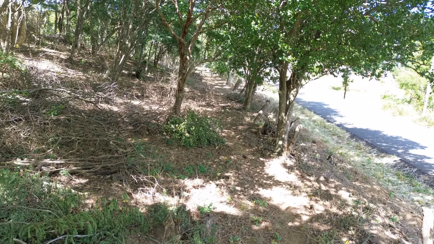 LOTE EN VENTA 1500 m2. RECTANGULAR. CERCA DE PLAYA. - Imagen 13
