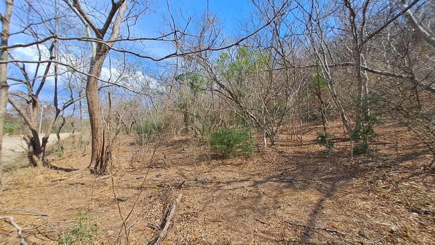 LOTE EN VENTA 1500 m2. RECTANGULAR. CERCA DE PLAYA. - Imagen 12
