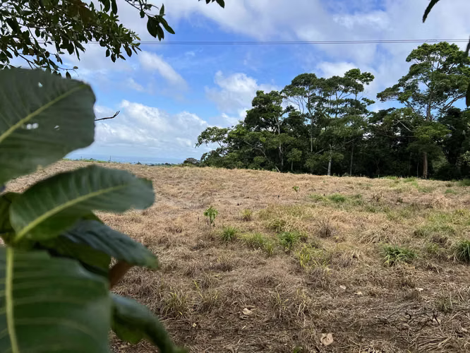 Lotes en Ciudad Quesada - Imagen 7